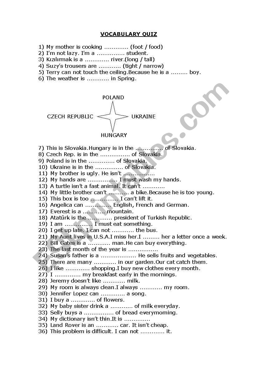 VCABULARY QUIZ worksheet