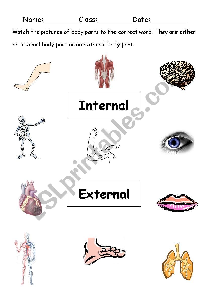 Internal and external worksheet