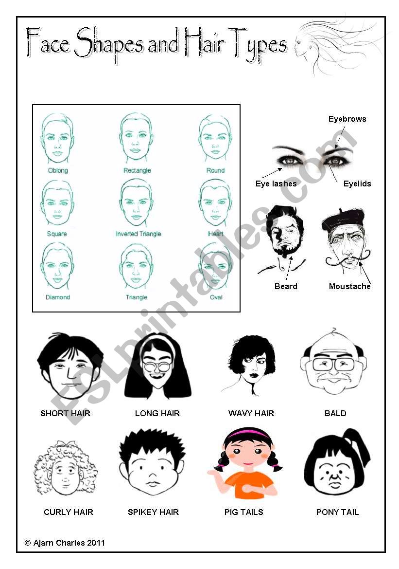 Face Shapes and Hair Types worksheet