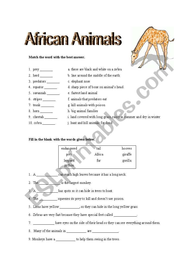 African Animal Quiz - ESL worksheet by lisaaldrich
