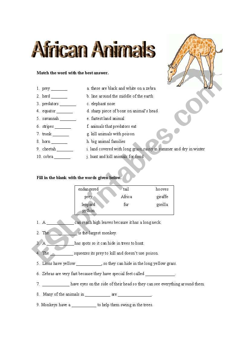 African Animal Quiz worksheet