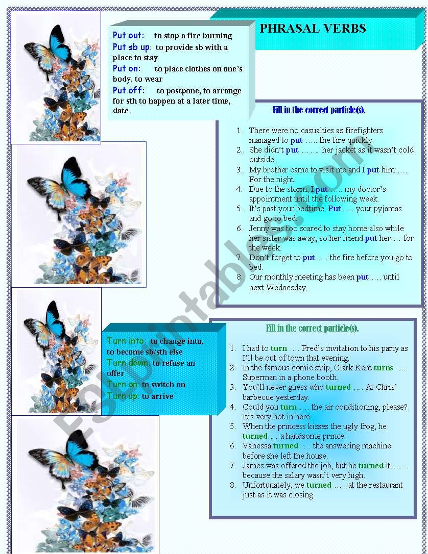 Phrasal Verbs Put and Turn worksheet