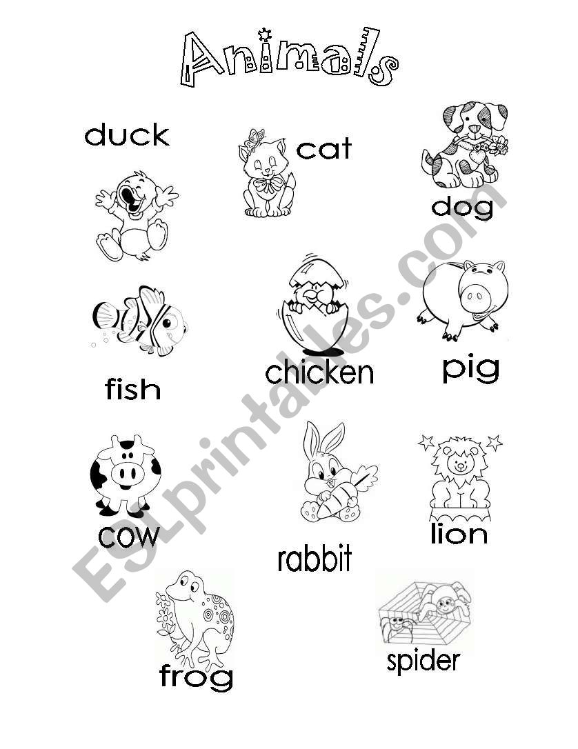 animals worksheet