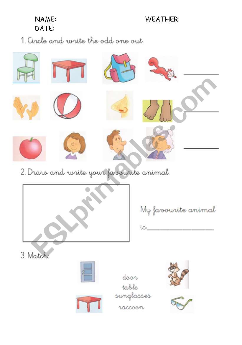 REVISION - ESL worksheet by erikasigrid