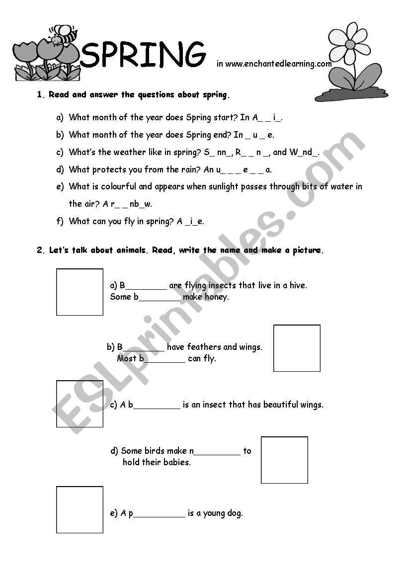 Spring webquest worksheet