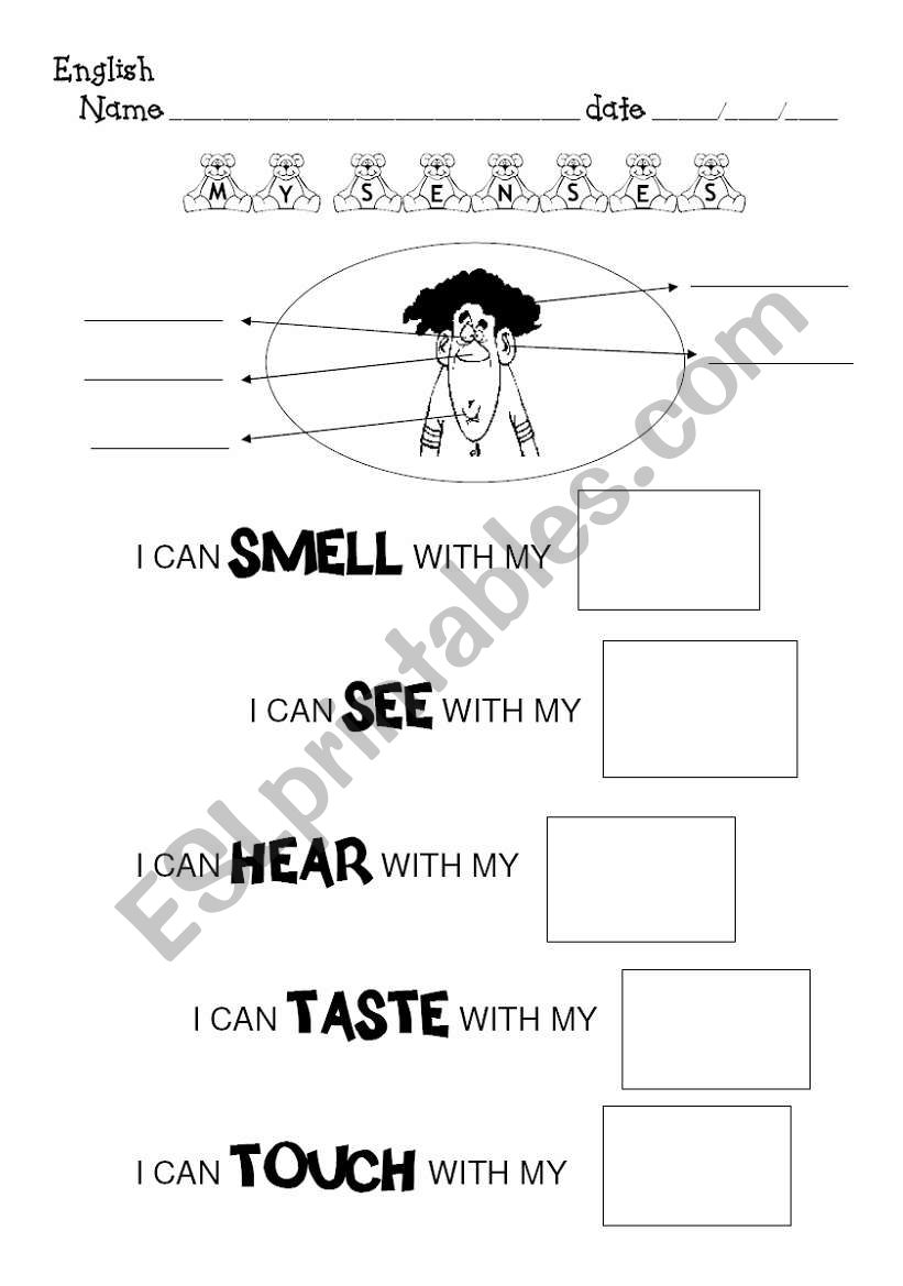 MY SENSES worksheet