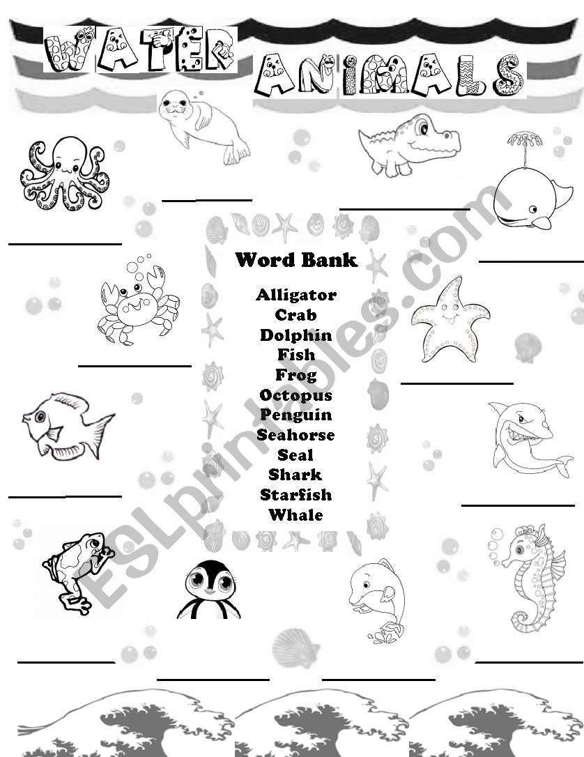 Water Animals worksheet