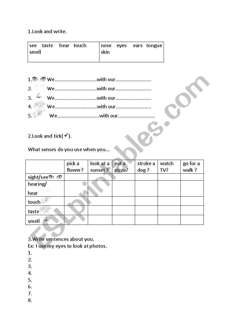 Exercises for Senses worksheet