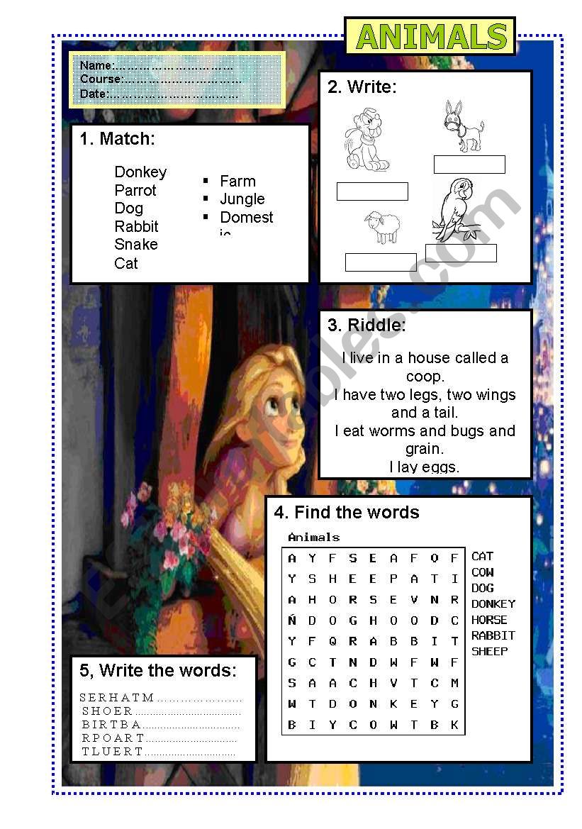 animals worksheet