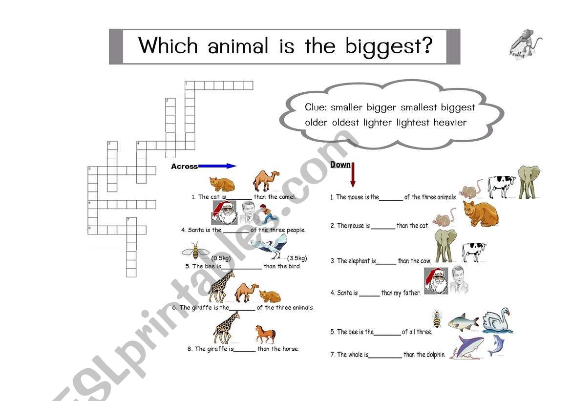 Which animal is the biggest? worksheet