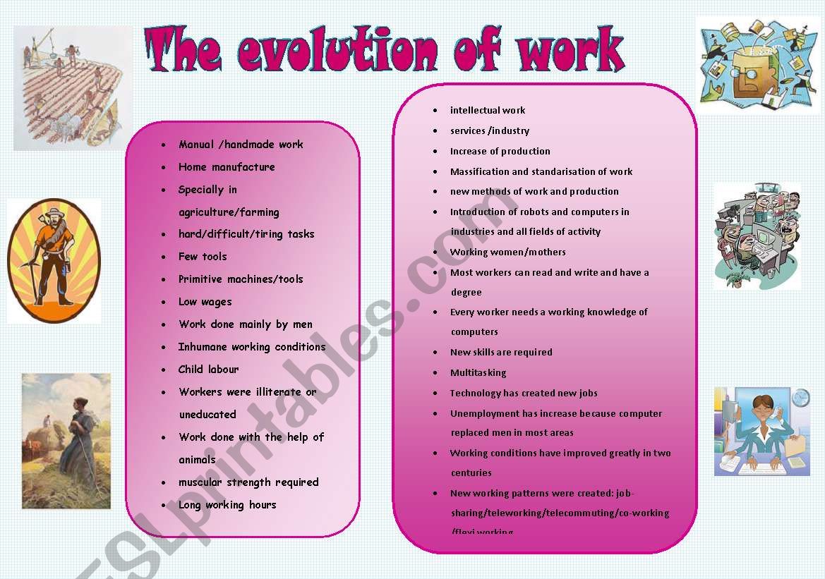 the evolution of work worksheet