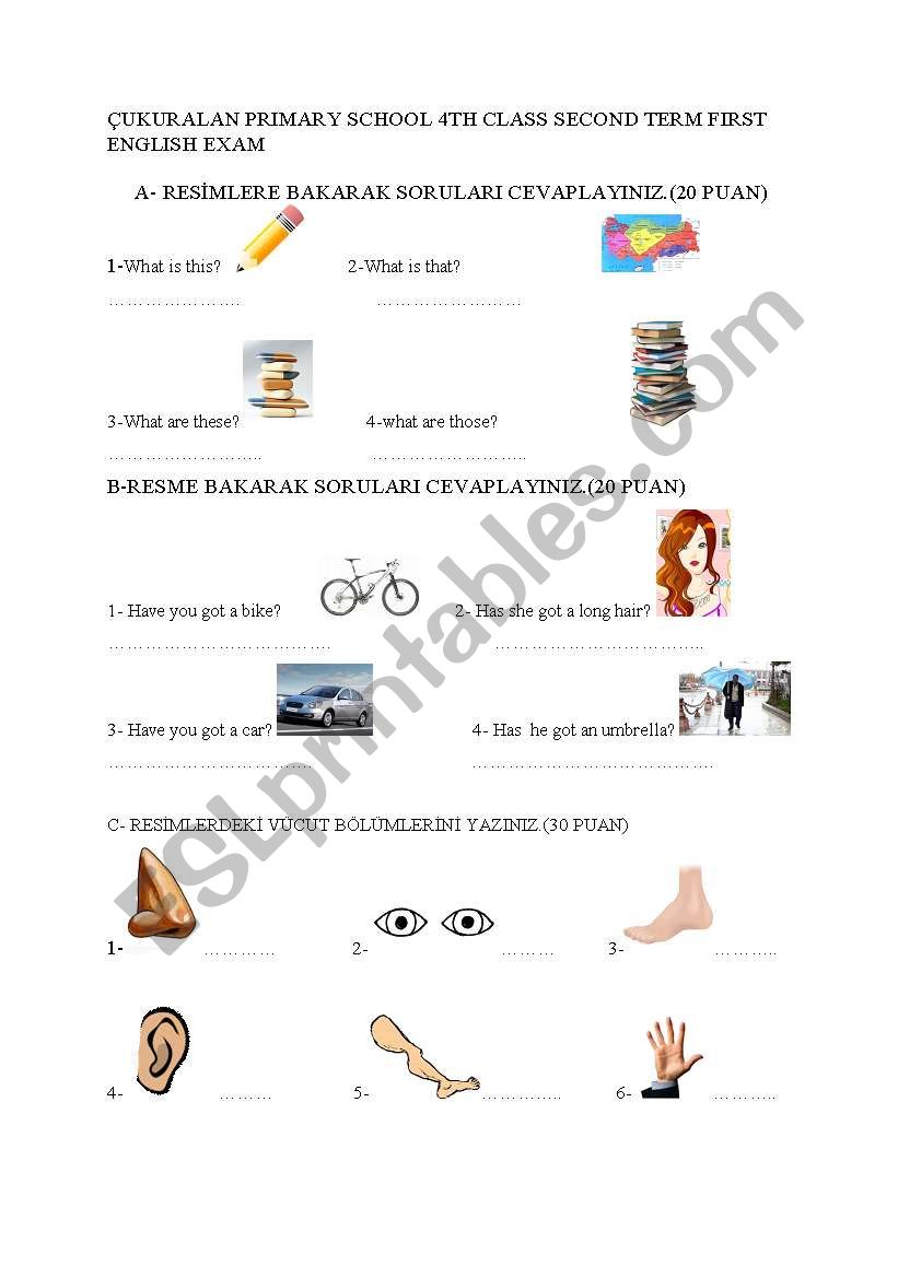 exam 4th class worksheet