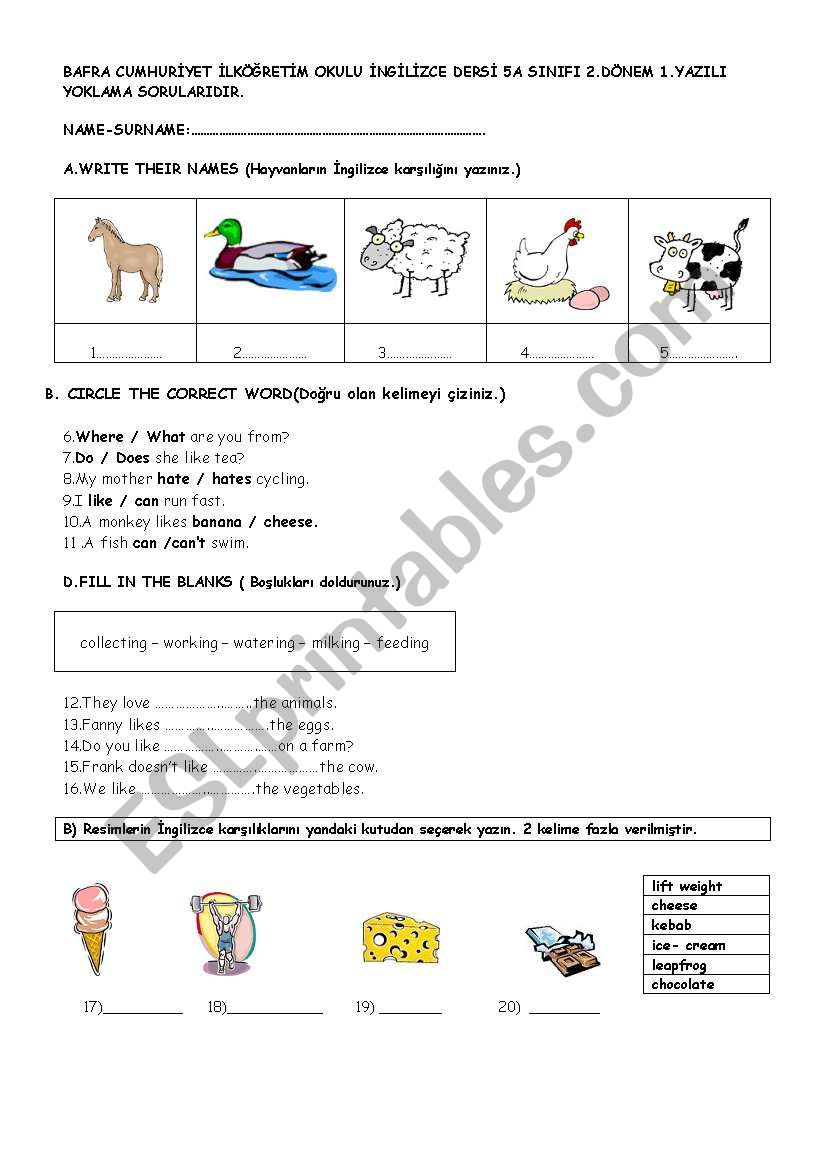 5th grade exam page1 worksheet