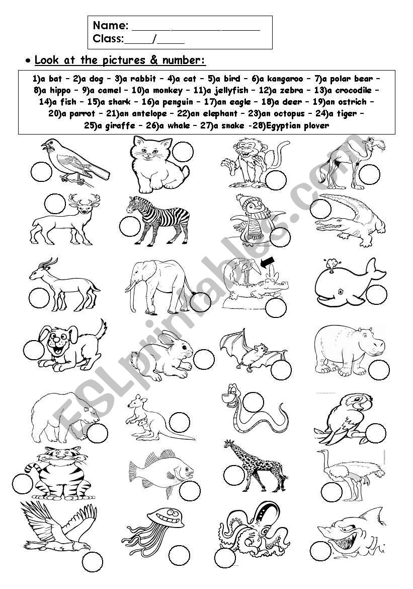 Animals worksheet