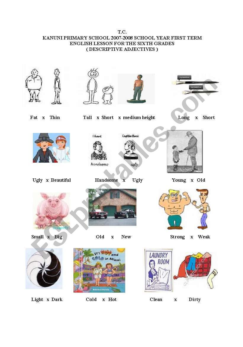 Opposite Adjectives worksheet