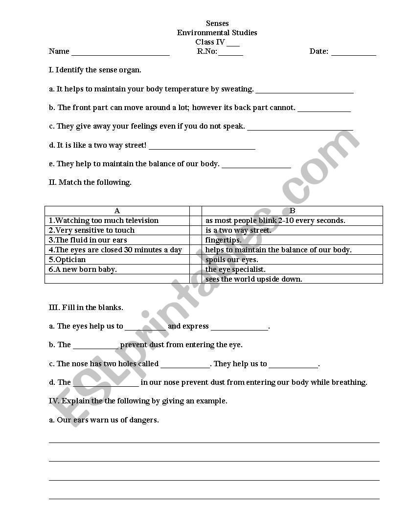 our senses worksheet