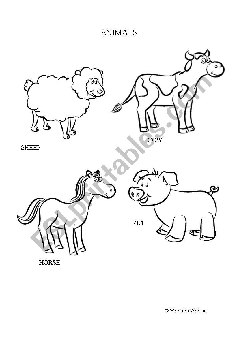 FARM ANIMALS worksheet