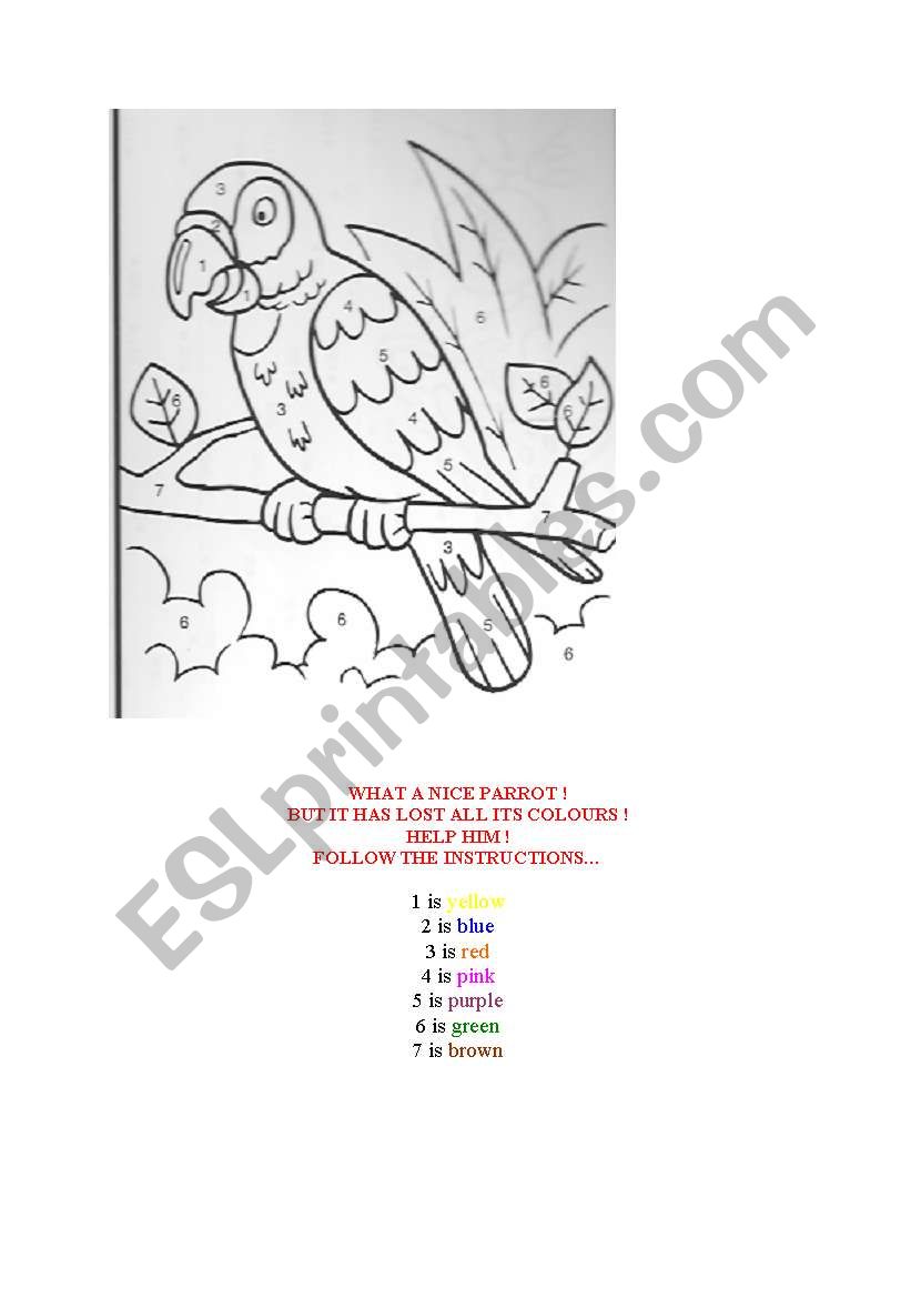 WHAT A NICE PARROT! worksheet