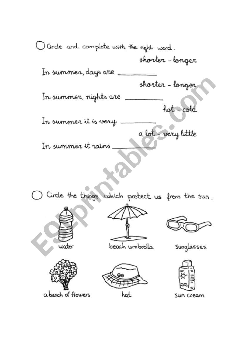 Summer worksheet worksheet