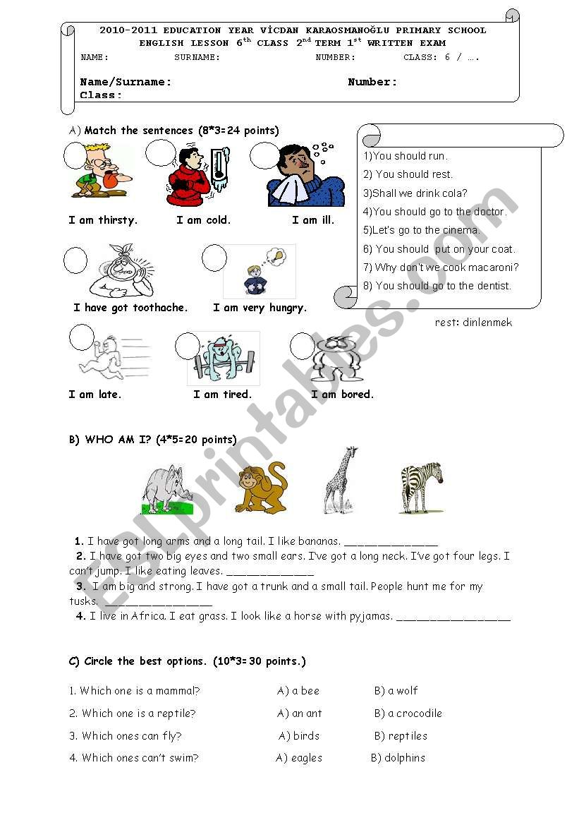 Written Exam for 6th Classes worksheet