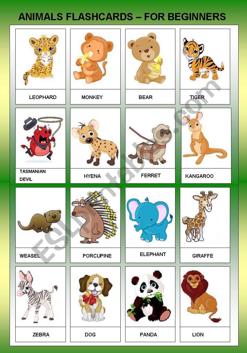 ANIMALS FLASHCARDS FOR BEGINNER - TWO PAGES