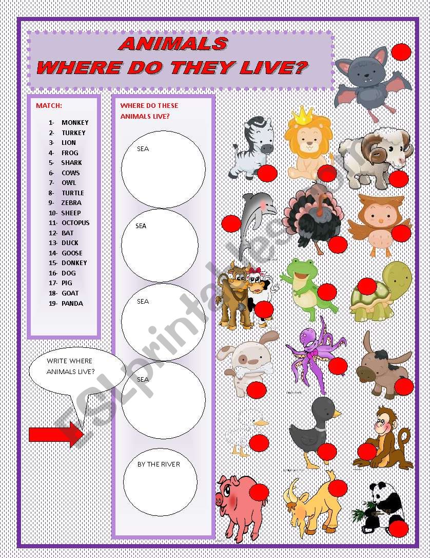 WHRE DO THESE ANIMALS LIVE? worksheet