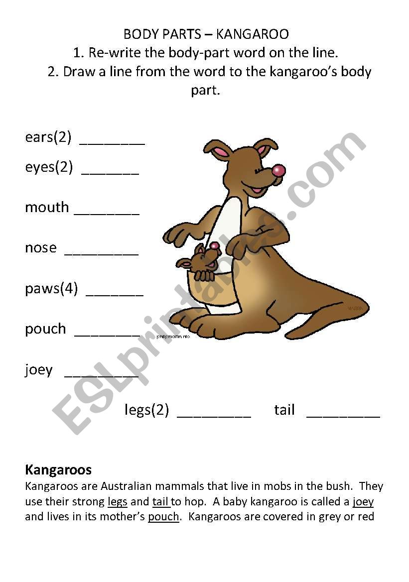 Body Parts - kangaroo worksheet