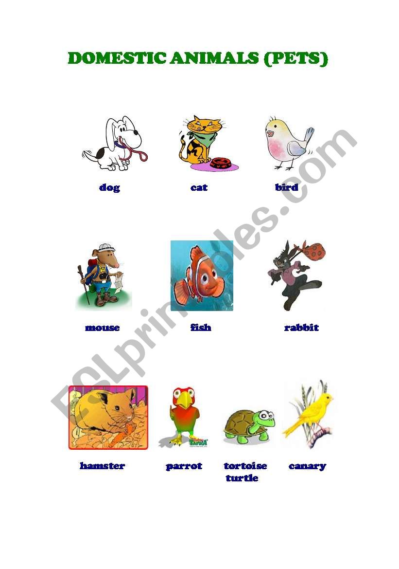 Animals worksheet