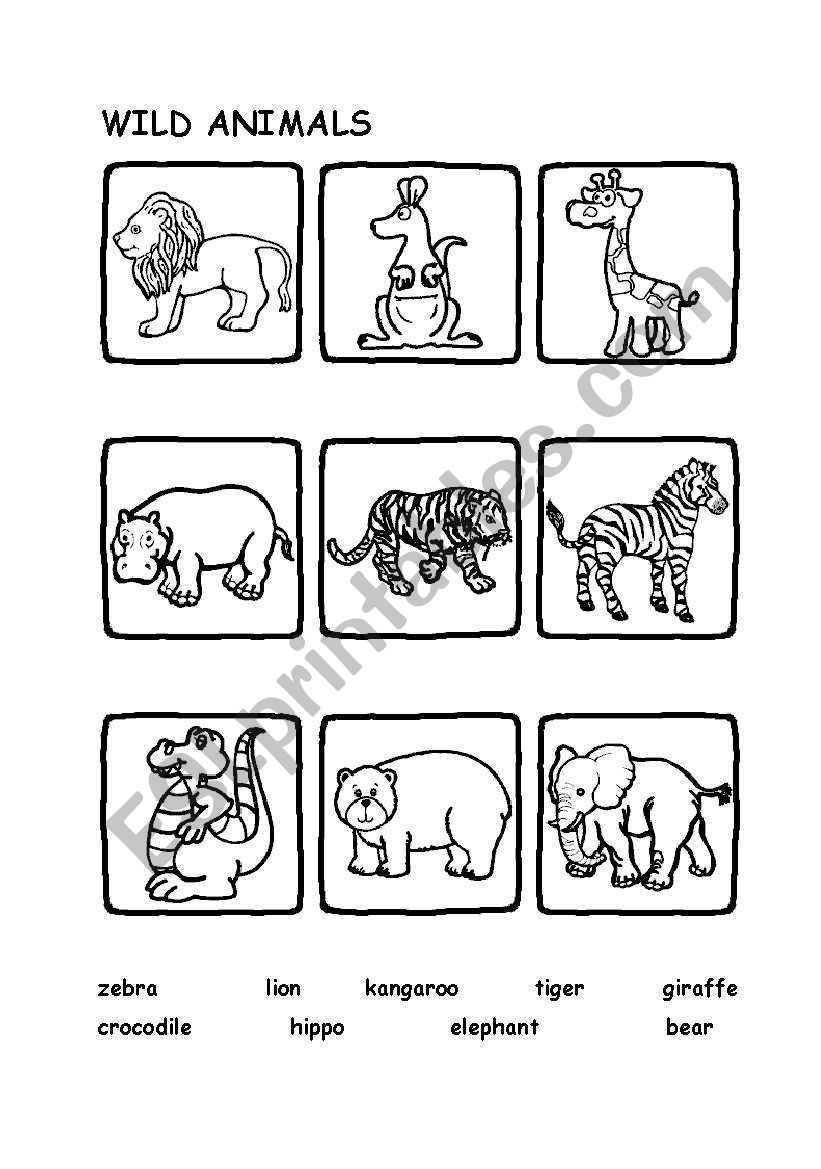 Wild animals worksheet