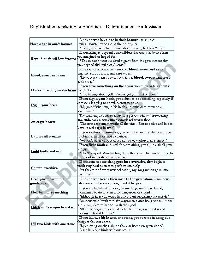 english idioms worksheet