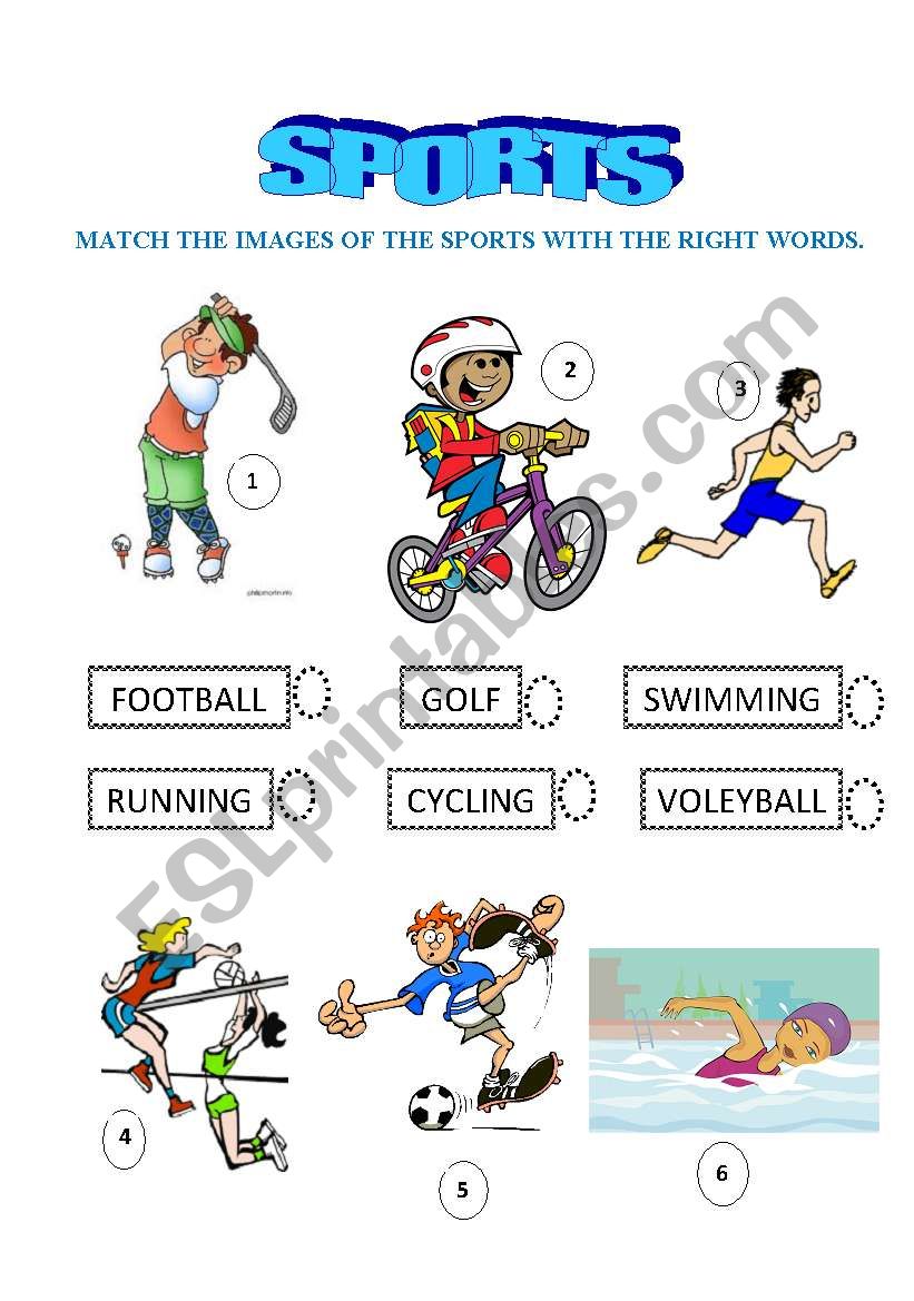 Sports worksheet