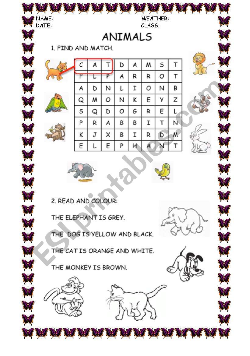 ANIMALS worksheet