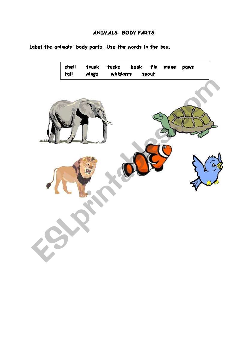 animals body parts worksheet