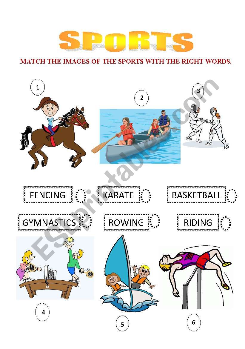 Sports worksheet