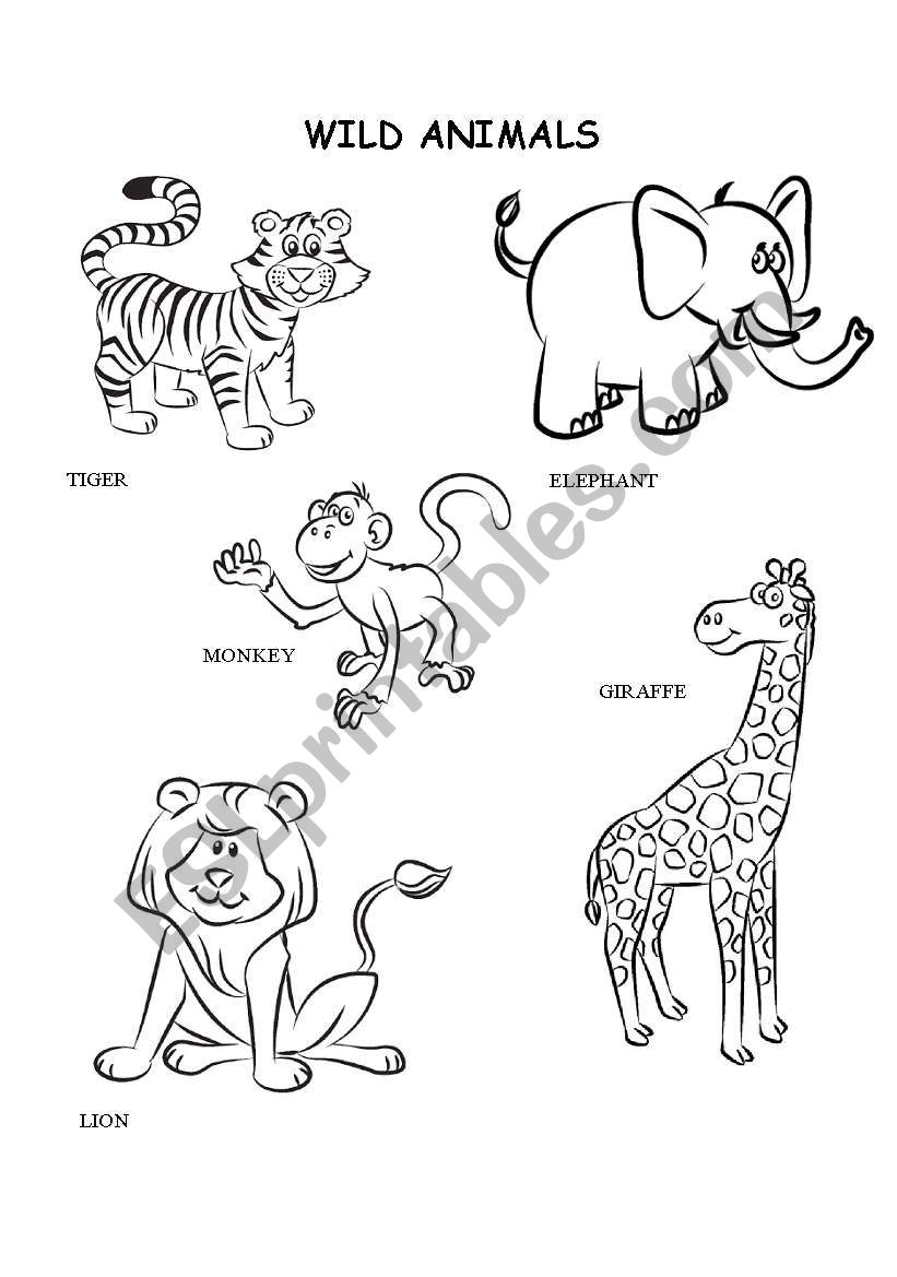 Wild animals coloring   ESL worksheet by kalaquendi