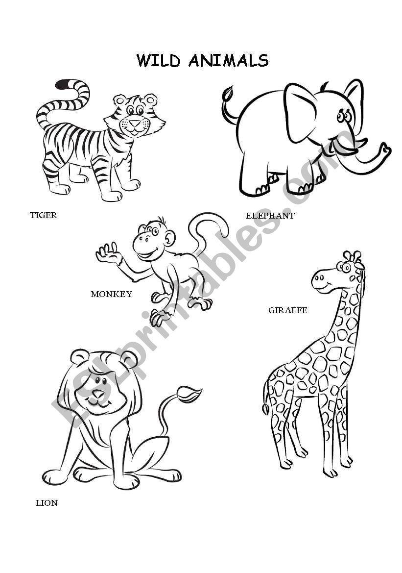 Wild animals coloring worksheet