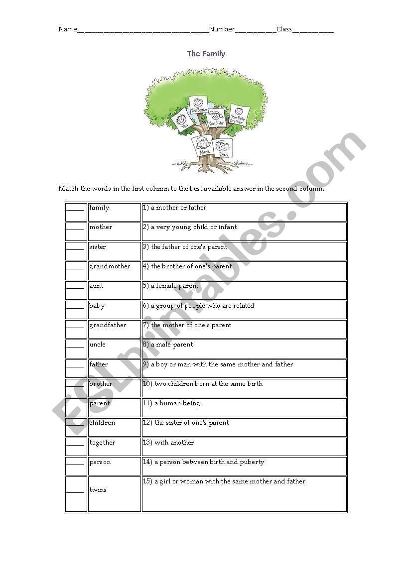 FAMILY worksheet