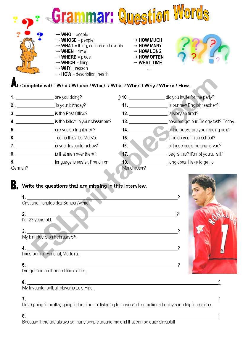 Question Words worksheet