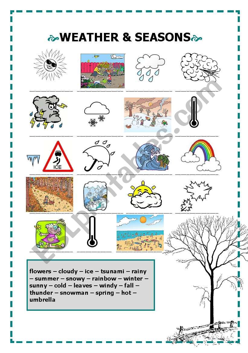 Weather and seasons worksheet