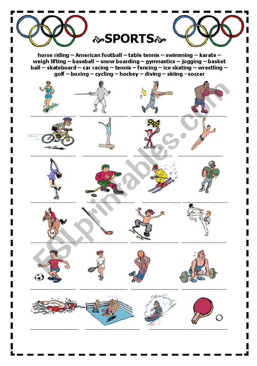 sports worksheet