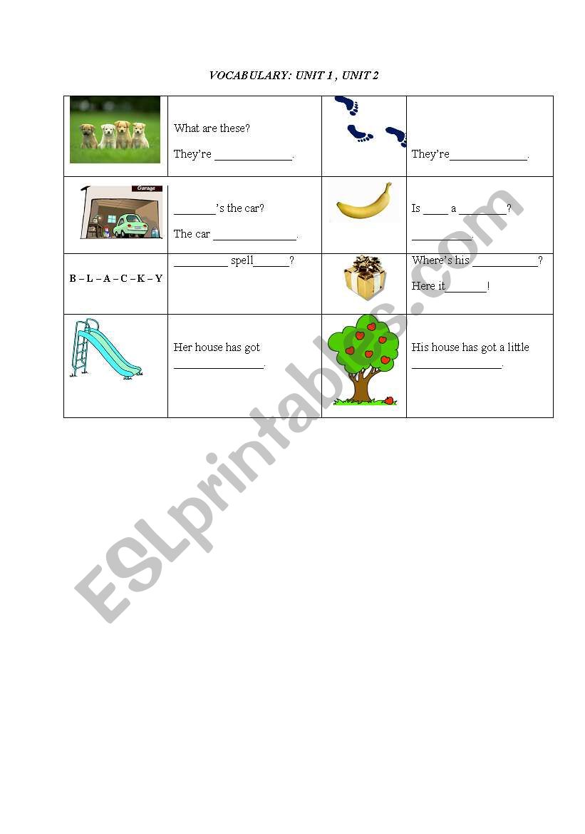 VOCABULARY worksheet