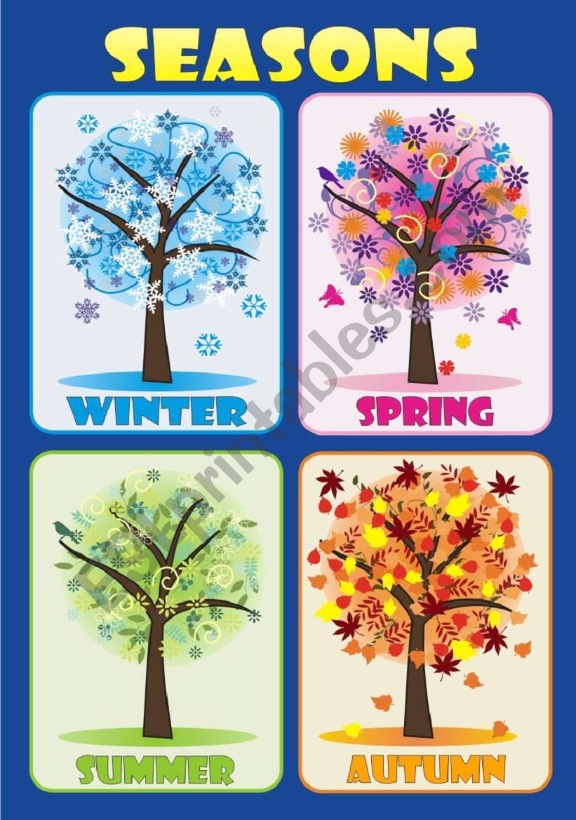 Seasons Poster For Kids