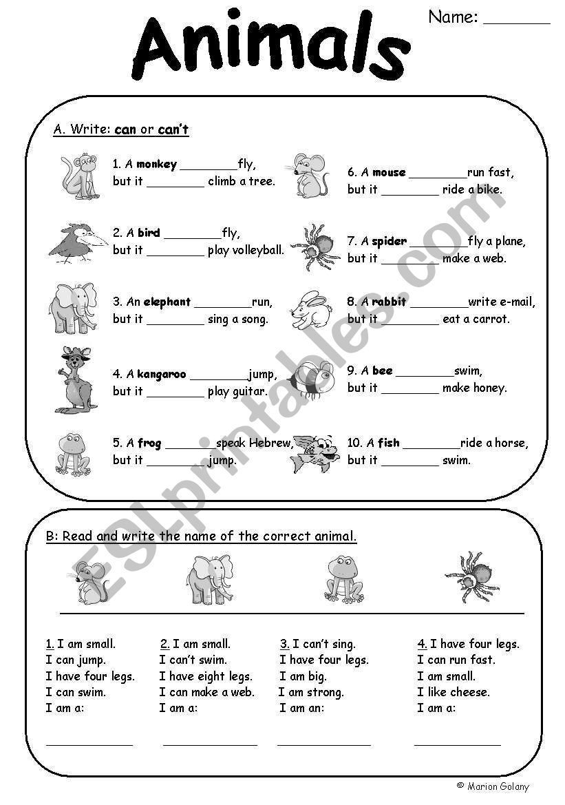 Animal can/cant and riddles worksheet