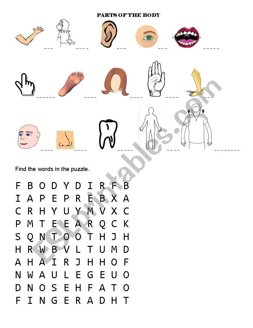 Parts of the body worksheet