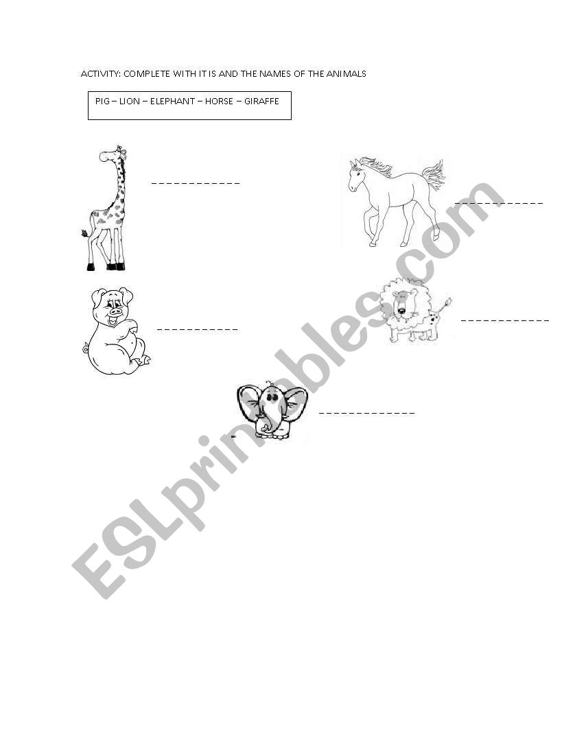 Animals worksheet