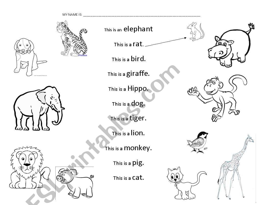 WORKSHEET WITH ANIMALS worksheet