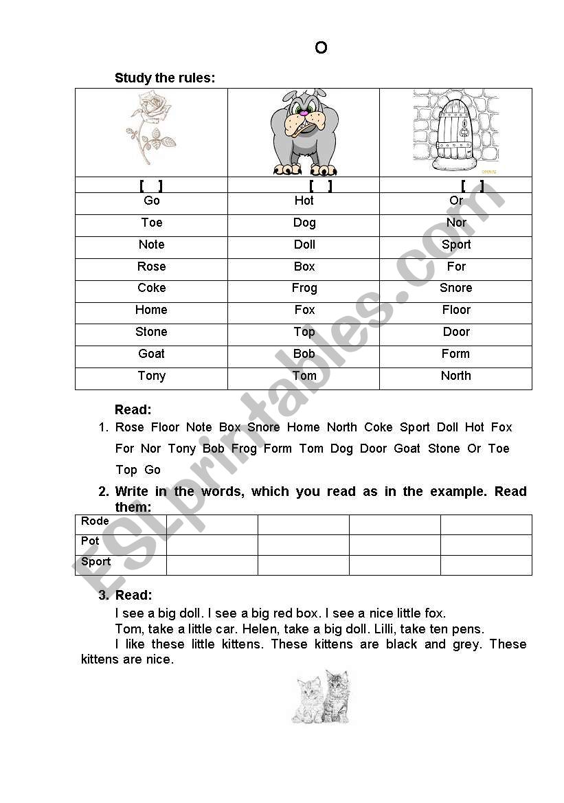 Reading rules 2 worksheet