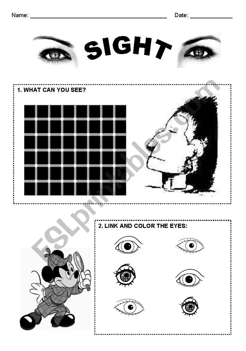 Sight - Five Senses worksheet