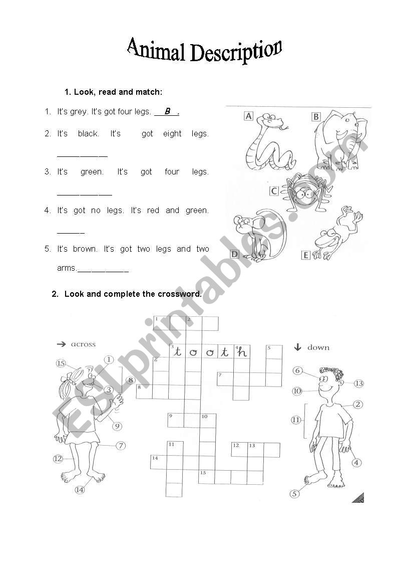 Animal Description 2 worksheet