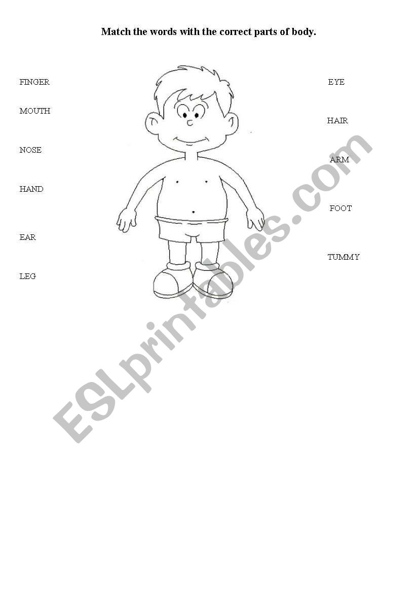 parts of body worksheet